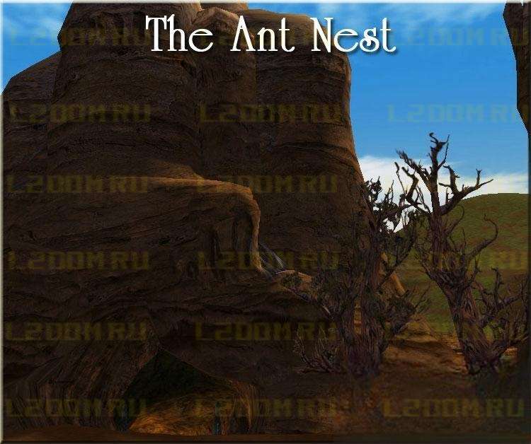 The Ant Nest - Муравьиное Гнездо