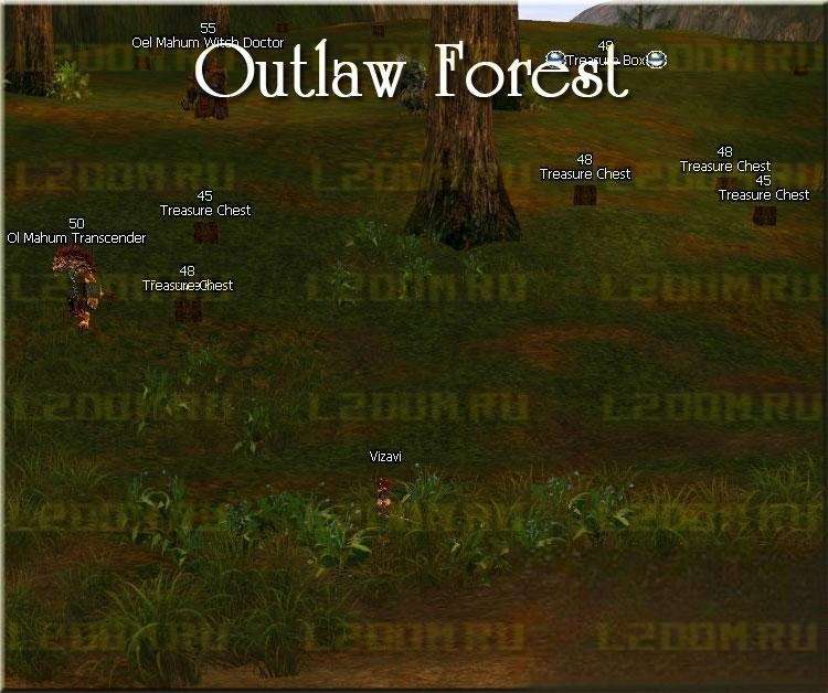 Outlaw Forest - Лес Беззакония