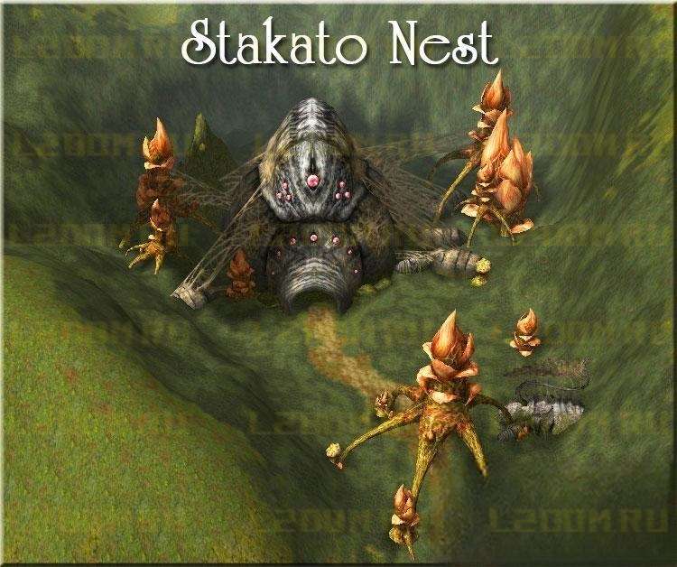 Stakato Nest - Гнездо Стакато