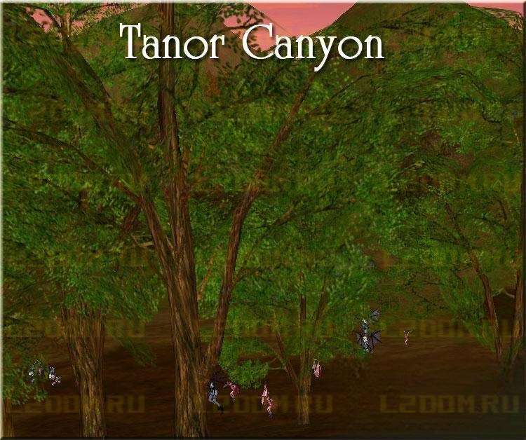 Tanor Canyon - Каньон Танора