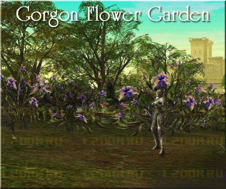 Gorgon Flower Garden - Цветочный сад Медузы Горгоны