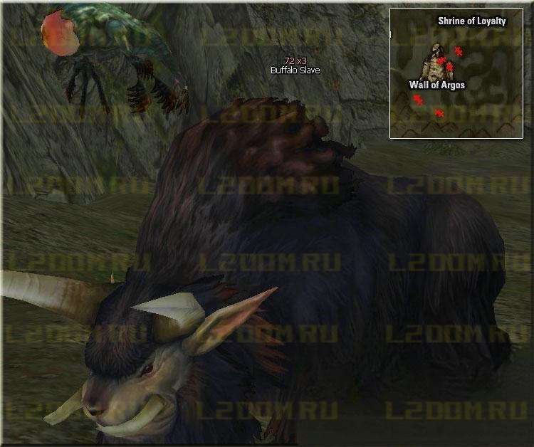 Buffalo Slave - Lvl 72