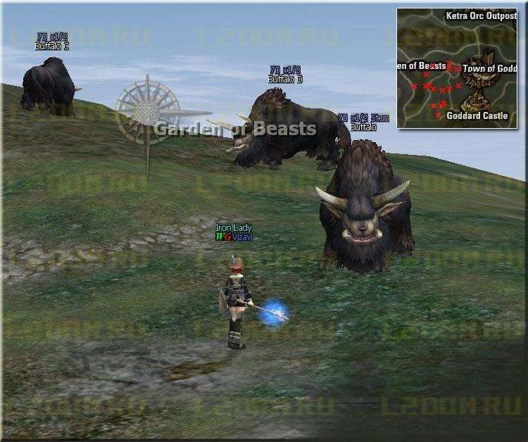 Buffalo - Lvl 70