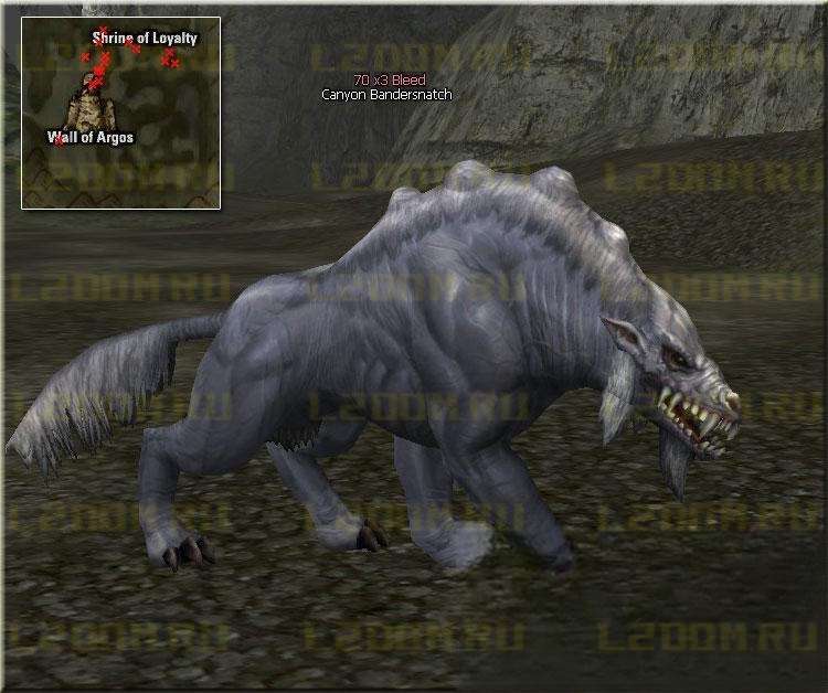 Canyon Bandersnatch - Lvl 70