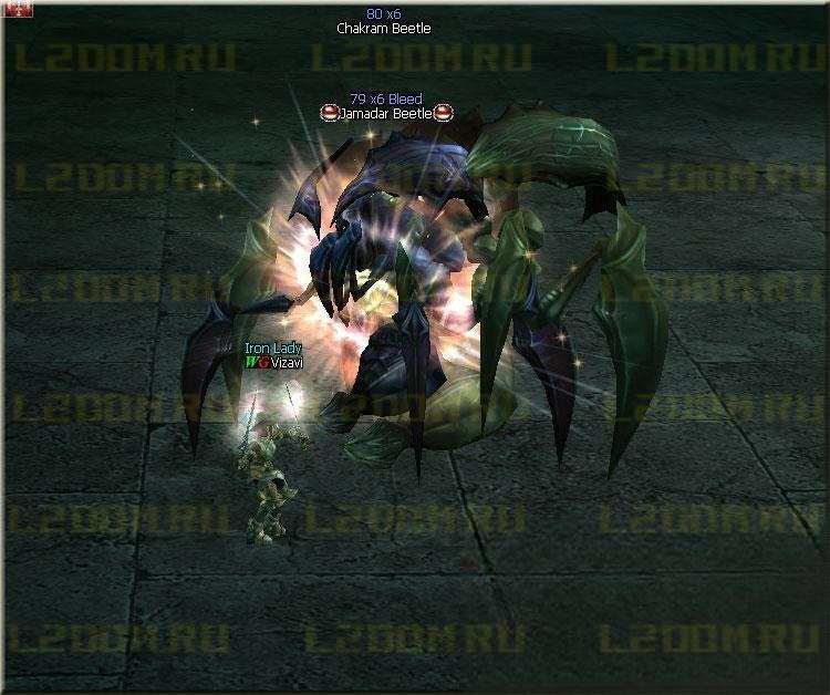 Chakram Beetle - Lvl 80