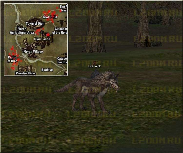 Dire Wolf - Lvl 24