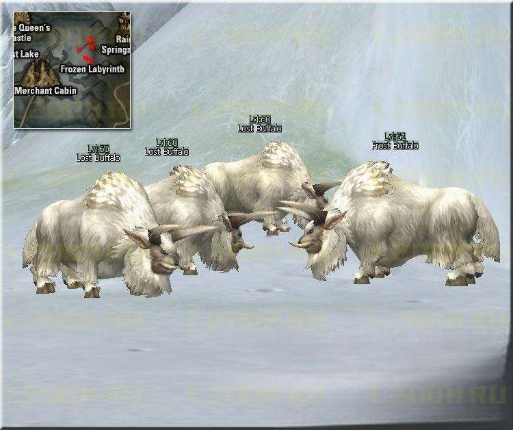 Frost Buffalo Lvl 61