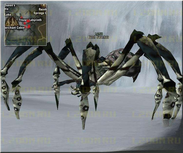 Frost Tarantula Lvl 58