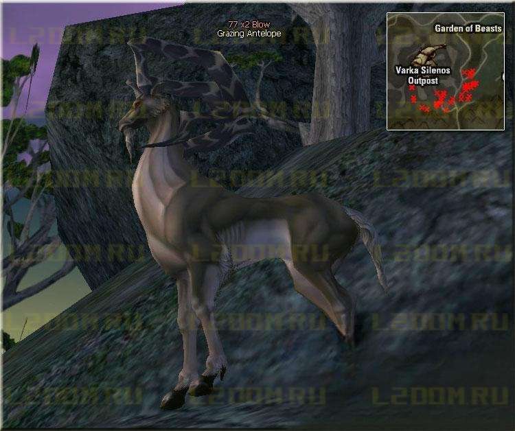 Grazing Antelope - Lvl 77