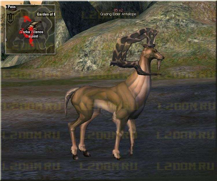 Grazing Elder Antelope - Lvl 80