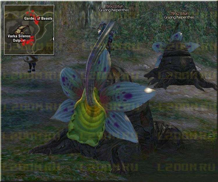 Grazing Nepenthes - Lvl 79