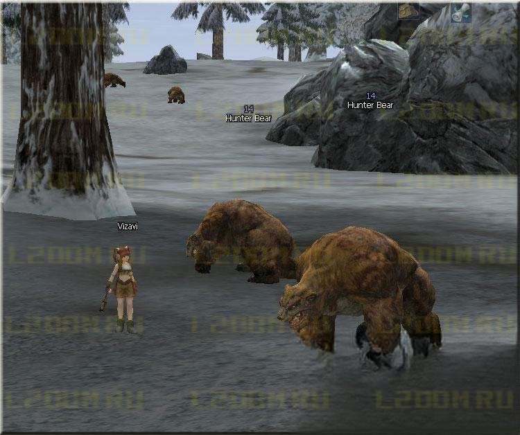 Hunter Bear - Lvl 14