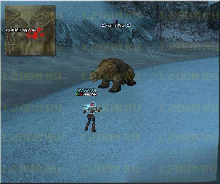 Hunter Bear - Lvl 14