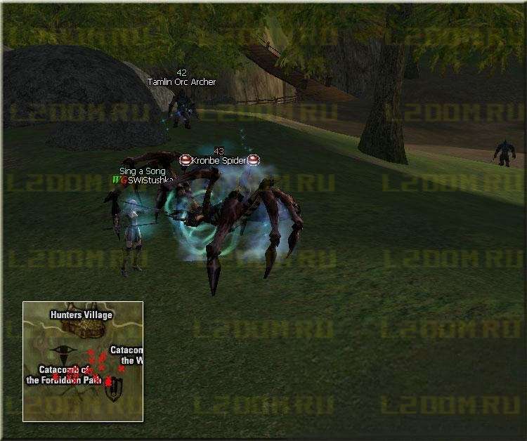 Kronbe Spider - Lvl 43