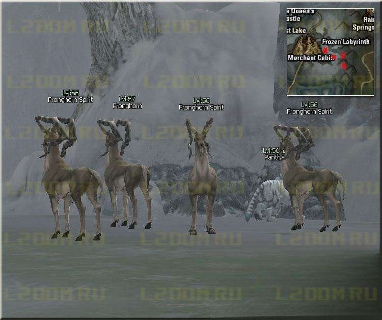 Pronghorn Lvl 57