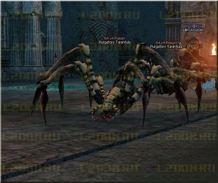 Purgatory Tarantula - Lvl 64