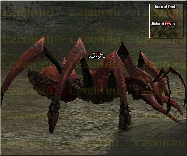 Scavenger Ant - Lvl 74