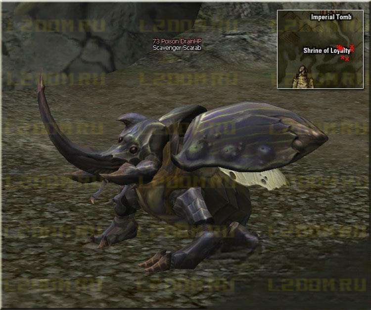 Scavenger Scarab - Lvl 73