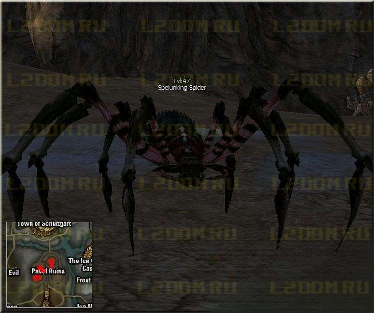 Spelunking Spider - Lvl 47