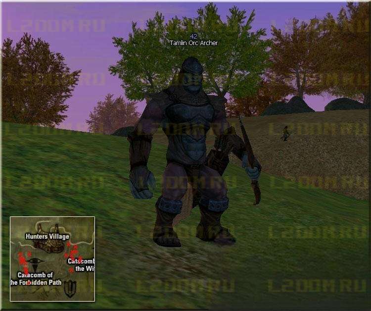 Tamlin Orc Archer - Lvl 42