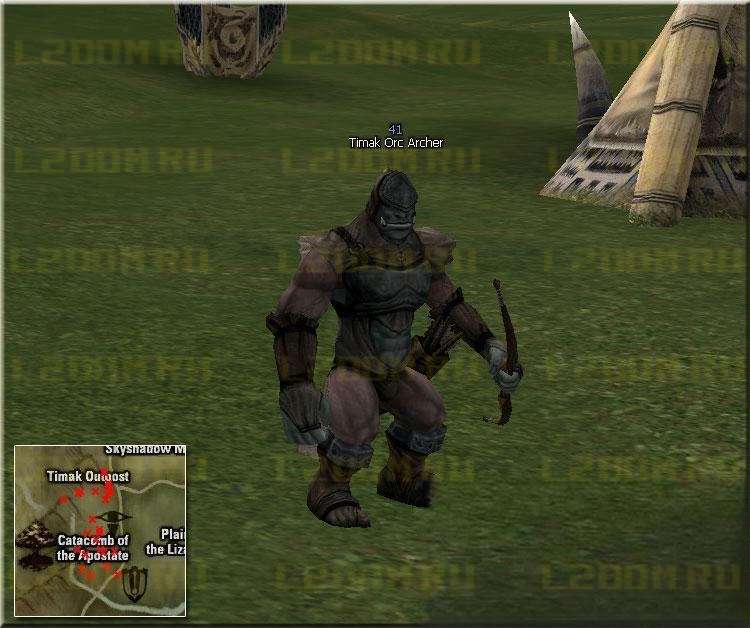 Timak Orc Archer - Lvl 41