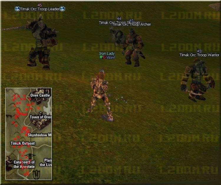 Timak Orc Troop Archer - Lvl 41