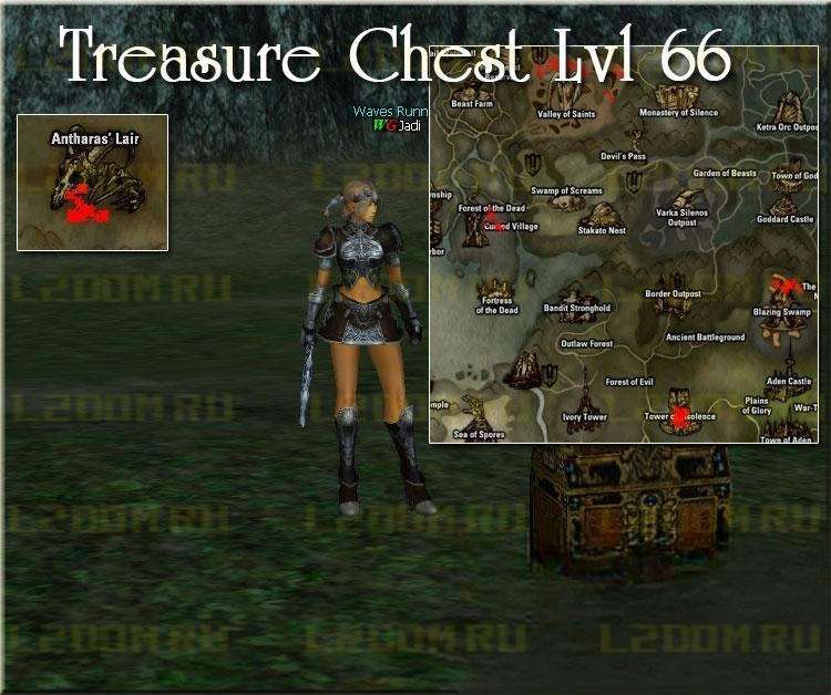 Treasure Chest level 66