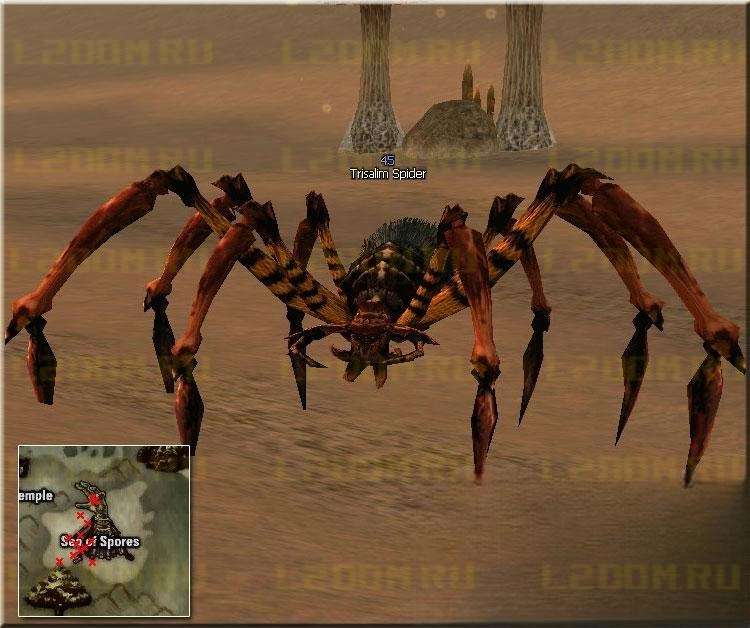 Trisalim Spider - Lvl 45