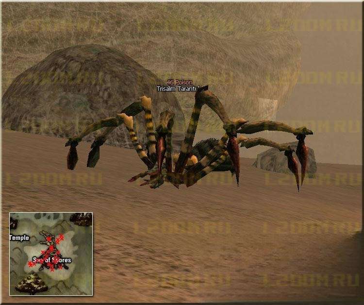 Trisalim Tarantula - Lvl 46