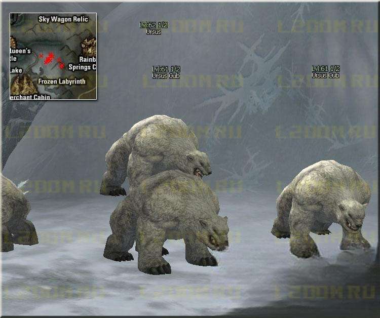 Ursus Cub Lvl 61