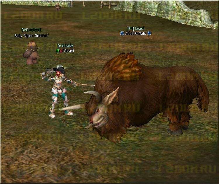 Adult Buffalo Lvl 84 в Lineage 2 High Five