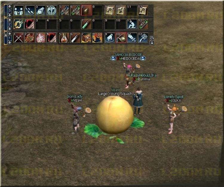 Event HALLOWEEN - Ивент тыквы в Lineage 2