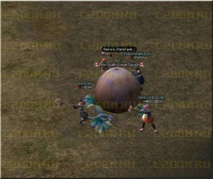 Event HALLOWEEN - Ивент тыквы в Lineage 2