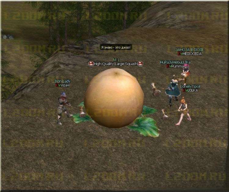 Event HALLOWEEN - Ивент тыквы в Lineage 2