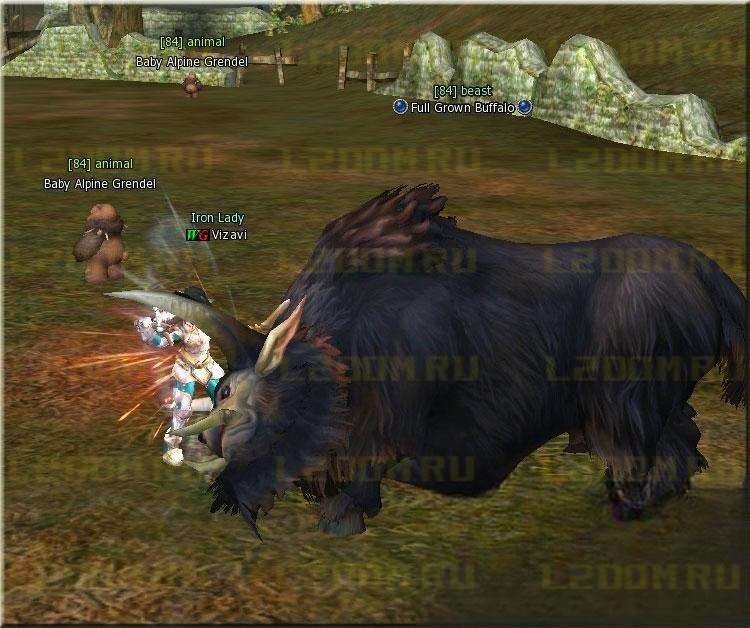 Full Grown Buffalo Lvl 84 в Lineage 2 High Five