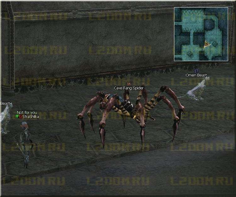 Cave Fang Spider - Lvl 16