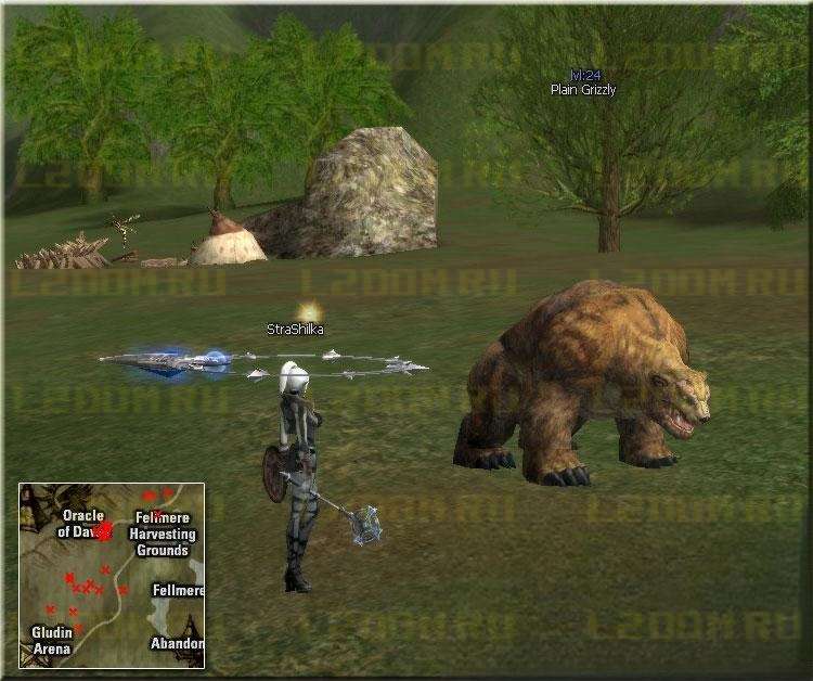 Plain Grizzly - Lvl 24