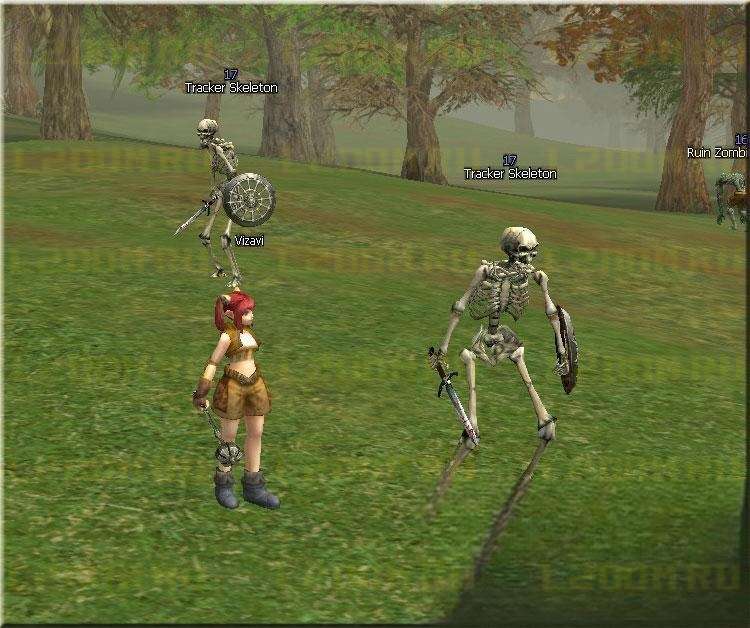 Tracker Skeleton - Lvl 17